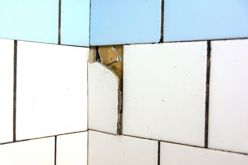 Repaired Tiles